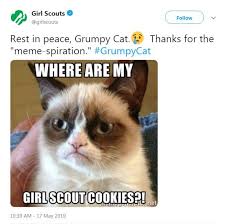 Rip Grumpy Cat Looking Back On Her Best Memes Article Kids News
