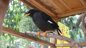 มาติดตามแนวทาง เลขเด็ด นู๋น้ำ สมายด์ กันต่อในงวดนี้ ซึ่งข้อมูลที่นำมาฝาก อัพเดทล่าสุด ใครที่เป็นแฟนพันธุ์สำนักหวย. Gbyzni 2zrdzjm