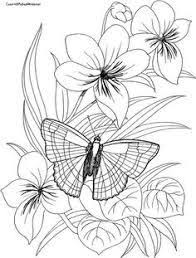 For boys and girls, kids and adults, teenagers and toddlers, preschoolers and older kids at school. Image Result For Butterfly And Flower Drawing Easy Butterfly Coloring Page Flower Coloring Pages Coloring Pages
