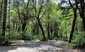 Tripadvisor.com has been visited by 1m+ users in the past month 6 Best Campgrounds In Redwood National And State Parks Ca Planetware