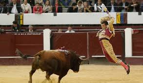Corridas de toros en Bogotá: La Consulta es una persecución a la industria  de la tauromaquia: Unión de toreros de Colombia | Bogotá | Caracol Radio