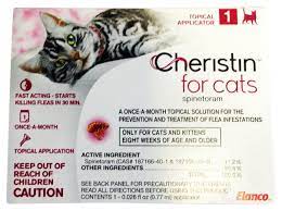 Pin On Cat Flea And Tick Control