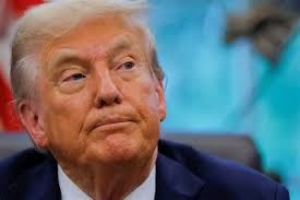 Donald Trump vs Kamala Harris: Who is ahead in early voting data in swing  states?