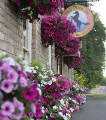 Afs was available at afs.msu.edu an… Fitzgeralds Bed Centre Home Facebook