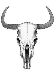 Cow Skull Pencil Drawing Google Search Cow Skull Art Skull Art Bull Skull Tattoos