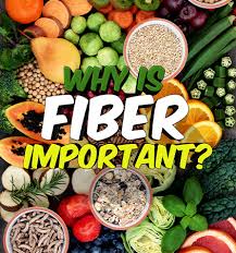 Image result for Fiber