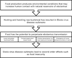 An infected person can transmit the infectious disease via direct contact with bodily secretions and fluids, mucous membranes (like the eyes, nose and mouth) or even broken skin. A Review Of The Role Of Food And The Food System In The Transmission And Spread Of Ebolavirus