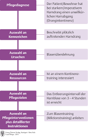 Pflegeplanung muster zum ausdrucken sis. 10 Pflegeprozess Und Pflegeplanung Pflegepadagogik Georg Thieme Verlag