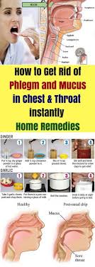 How To Get Rid Of Phlegm Mucus In Chest Throat Instantly Home Remedies Healthy Beat Getting Rid Of Phlegm Mucus Mucus In Throat