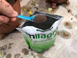 Paragraf deduktif bisa dilihat dari letak kalimat utamanya yang berada di awal alinea. Cara Baja Pokok Dalam Pasu Untuk Yang Baru Belajar Bercucuk Tanam Vanilla Kismis