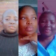 Hi does anyone have any lut for go2 when registering in log color? ... Do  you know where I can find them?