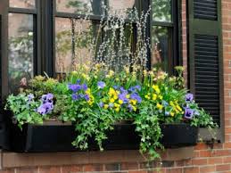 Whether you&#39;re an urban dweller with limited garden. Irrigation For Window Boxes Self Watering Window Box Methods