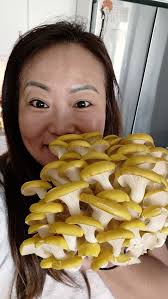 OUR MARVELOUS MUSHROOM SELECTION... (Have you ever seen anything like  this?) One of the many pleasures of shopping at the Farmers Market is  getting to select delicious produce from beautiful displays, like