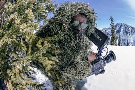 Image result for tree disguise