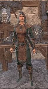 Jun 17, 2015 · tallowby | imperial | templar | cp160/531 | 9 trait master crafter | every style known! Styles Elder Scrolls Online Wiki