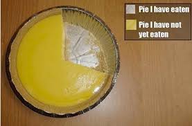 The 60 Silliest Pie Charts On The Internet 22 Words