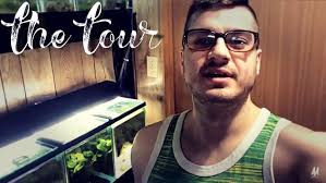 Fish Room Tour- Everything Fishy and His Wolf Fish