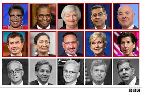 Image result for Bidens diversa