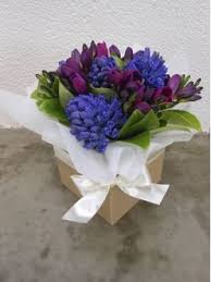 Check spelling or type a new query. Guide For Sending Flowers To Someone In The Hospital