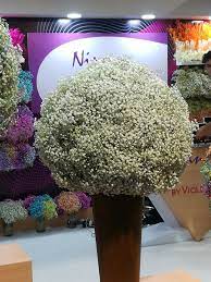 Where To Buy Bulk Flowers Online For Your Wedding Roses Flowers Gypsophila Wedding Events Bouquets Bulk Flowers Online Gypsophila Gypsophila Wedding