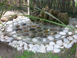 Les Points D Eau Enclos Tortue Terrarium Tortue Terrarium Tortue Terrestre
