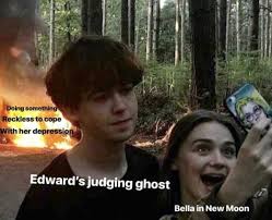 Just 100 Really Freaking Funny Memes About Twilight Twilight Funny Twilight Memes Twilight Facts