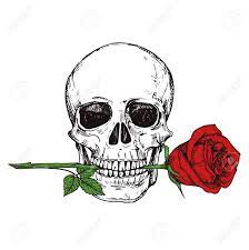 Skull with rose in mouth : Hand Drawn Happy Human Skull With Red Rose Sketched Skull Printable Vector Illustration Skull Human And Sketch Red Flower Royalty Free Cliparts Vectors And Stock Illustration Image 122147635