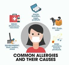 Learn about the different types of food allergies and how to manage them. Everything You Need To Know About Allergies Femina In