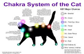 Pin By Daniela Rabadan On Energia Animal Reiki Reiki