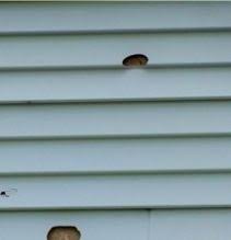 1.0 out of 5 stars 1 rating. How To Repair A Hole In Vinyl Siding Diy Pj Fitzpatrick