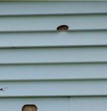 Maybe you would like to learn more about one of these? How To Repair A Hole In Vinyl Siding Diy Pj Fitzpatrick