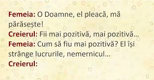 Te rog sa ma crezi ca ma surprinde raspunsul tau. Un Dialog Amuzant Dintre O Femeie È™i Creierul SÄƒu Fasingur