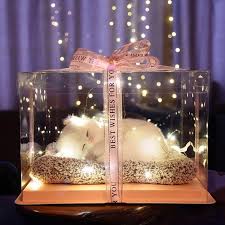 We will guide you and try to sort out every problem which you are facing during purchase. Cute Adorable Birthday Gift Girl Romantic Gift Shopee Philippines