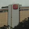 Sime darby plantation appoints human rights expert. 1