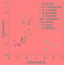 Image result for Octolepis decalepis