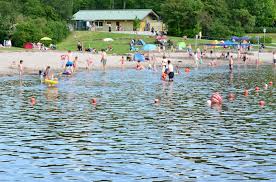 parc057 gnarled branches (by komot) (2019). Center Parc Park Bostalsee So War Unser Kurztrip Elischeba