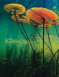 Pin On Amazing Talent Art Photographty