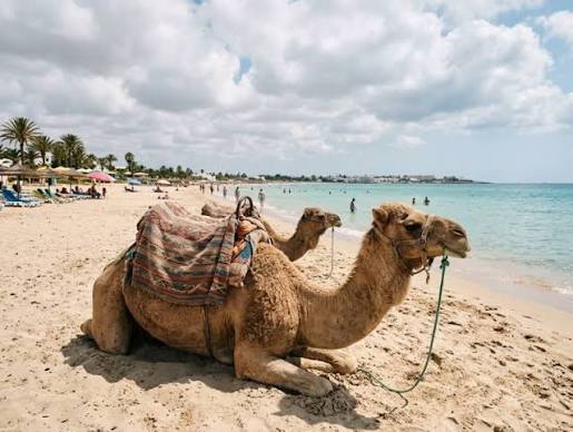 Viaggio in Tunisia con l'Isola di Djerba | Otto e Mezzo Viaggi