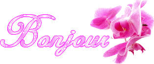 Résultat de recherche d'images pour "gifs orchidée"
