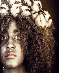 New Website Coming Soon