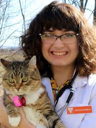 2020-2021 Merck Animal Health Scholarship