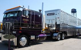 Way Cool Big Trucks Trucks Peterbilt Trucks