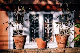 Wabi Sabi An Antidote To Our Obsession With The Spectacle Melbourne Art Class