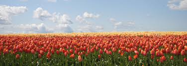 Maybe you would like to learn more about one of these? Bauer Funeral Home Valley City Oh Funeral Home And Cremation