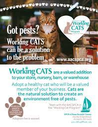 Find local petsense® pet adoption events in your area! Adoption Specials Spca Of Anne Arundel County