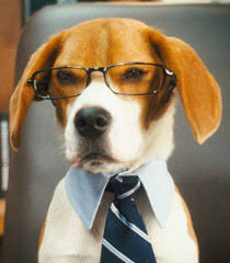 The ongoing war between the canine and feline species is put on hold when they join forces to thwart a rogue cat spy with her own sinister plans for conquest. Cats Dogs The Revenge Of Kitty Galore Lou Dogwalls