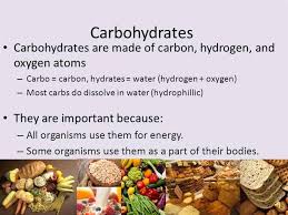 Carbohydrate Definition Carbohydrates Food Carbs