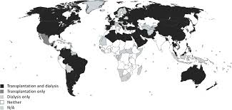 Laura figueiredo has disabled new messages. Capturing And Monitoring Global Differences In Untreated And Treated End Stage Kidney Disease Kidney Replacement Therapy Modality And Outcomes Kidney International Supplements