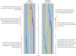 Alien pods come to earth and, naturally, start taking over human hosts. Host Parasite Co Evolution And Its Genomic Signature Nature Reviews Genetics