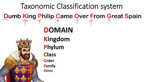 Taxonomic Classification System Mnemonics Animal Kingdom Classification Short Tricks